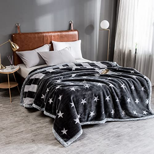 Premium Korean Mink Blanket - Heavyweight 8 lbs Fleece Blanket Queen Size (80x90 inches) - 2 Ply Ultra Soft Plush Raschel Bedding for Winter Warmth - Perfect for Home, Bedroom, Sofa & Cozy Gift Giving