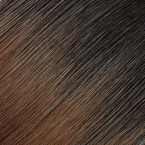#TT1B/30 - Black to Copper Blonde Ombre