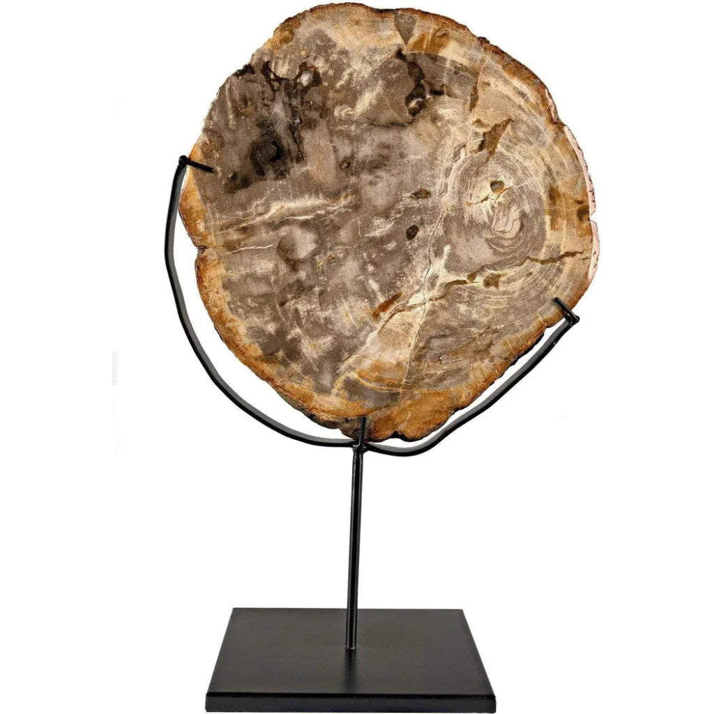 12 Pack Wood Fossil with Stand - Natural Stone Sculpture for Home Decor, Office Desk, and Gift Ideas