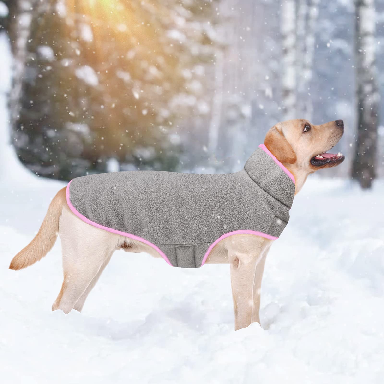 Malier Reversible Fleece Dog Winter Coat - Windproof Warm Pet Jacket for Small Medium Large Dogs - Cold Weather Snow Vest for Outdoor Walks & Adventures (Pink, Large)