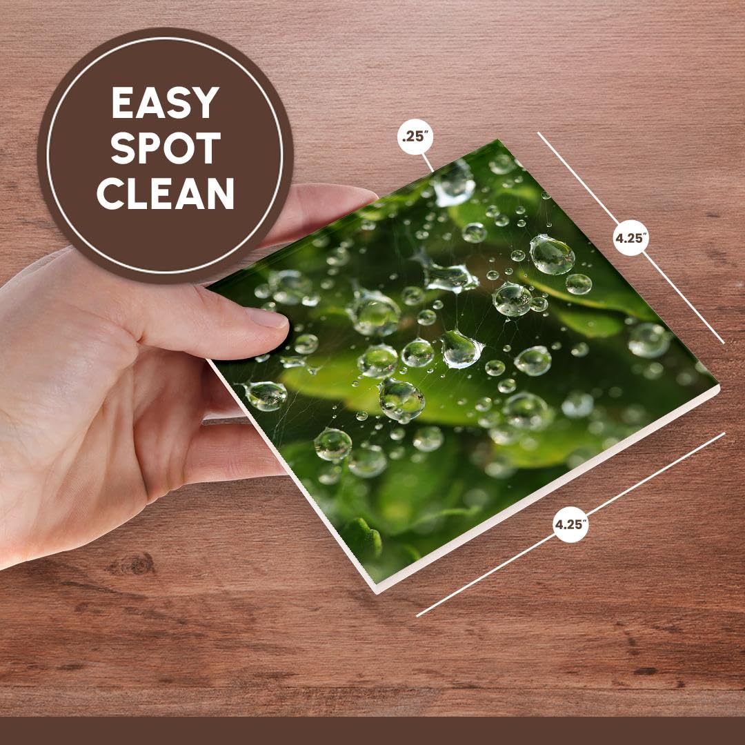3dRose Macro Photograph of Raindrops on Spiderweb Over Green Leaves - Set of 8 Ceramic Tile Coasters for Home & Office Decor, Perfect for Coffee Tables, Desks, and Gifts