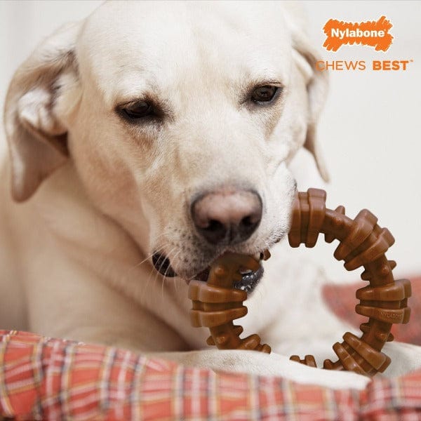 Nylabone Power Chew Textured Dog Ring Toy - Durable Chew Toy for Aggressive Chewers - Interactive Play for Large & Medium Dogs - Perfect for Teething Puppies & Dental Health - Indoor & Outdoor Use