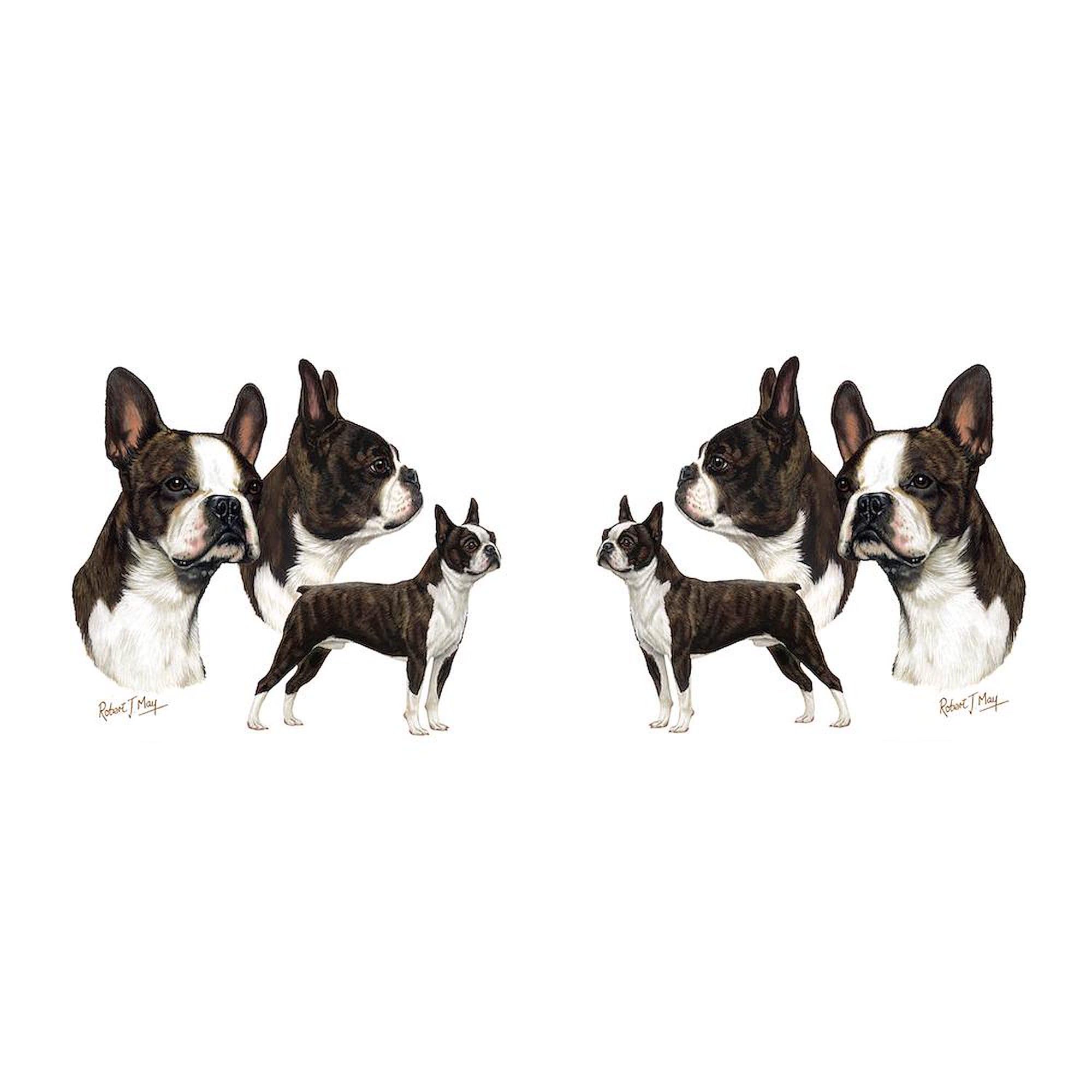 Boston Terrier Ceramic Coffee Mug 11 oz (325 ml) - Perfect for Hot & Cold Drinks, Office, Home, and Gifts