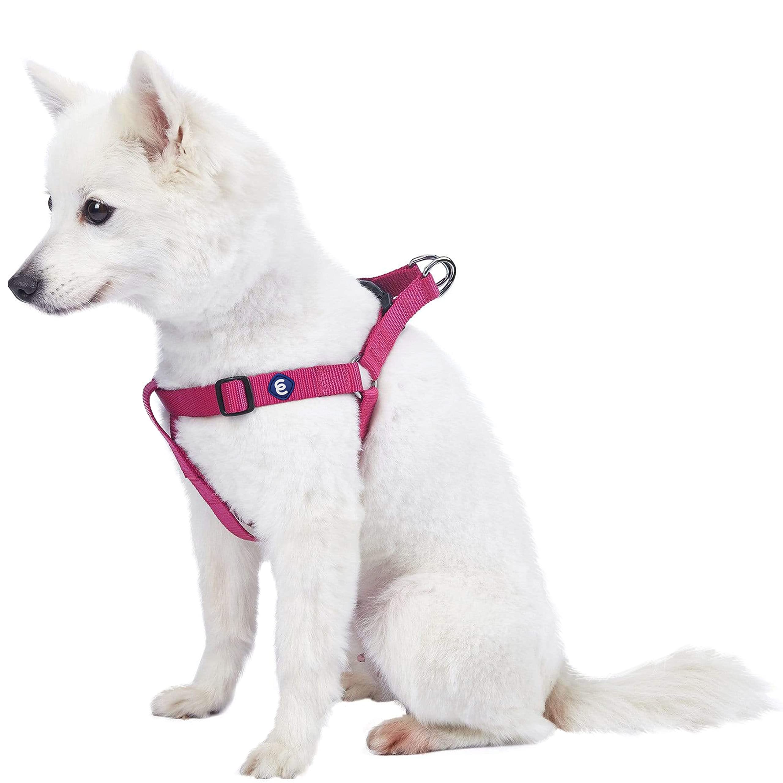 Blueberry Pet Essentials Adjustable No-Pull Dog Harness for Small Dogs - Classic Solid Nylon Step-in Harness for Easy Walking | Perfect for Daily Walks, Training & Outdoor Adventures