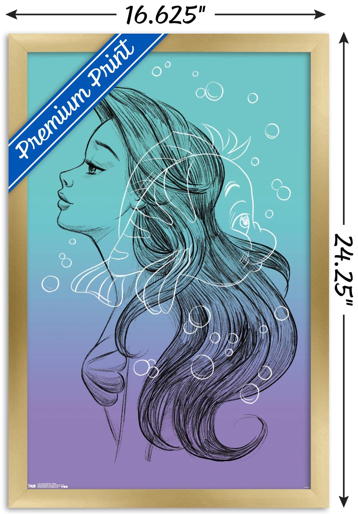 Disney The Little Mermaid Sketch Wall Poster - 14.725x22.375 Inches Gold Framed Art Print - Perfect for Kids' Room Decor, Nursery, or Disney Fan Gift