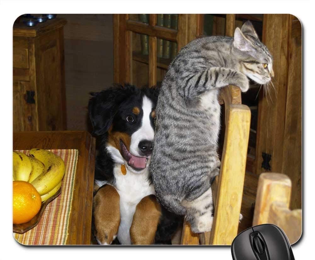 Premium Gaming Mouse Pad - Non-Slip Large Mouse Mat for PC & Laptop - Fun Pet Play Mat for Dogs & Cats - Perfect for Gaming, Work & Pet Playtime