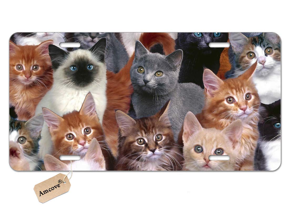 AMCOVE Cats Galore Novelty License Plate - 12-Inch Metal Car Tag with White, Black & Brown Cat Designs - Perfect for Trucks, Vans & Personalized Vehicle Decoration