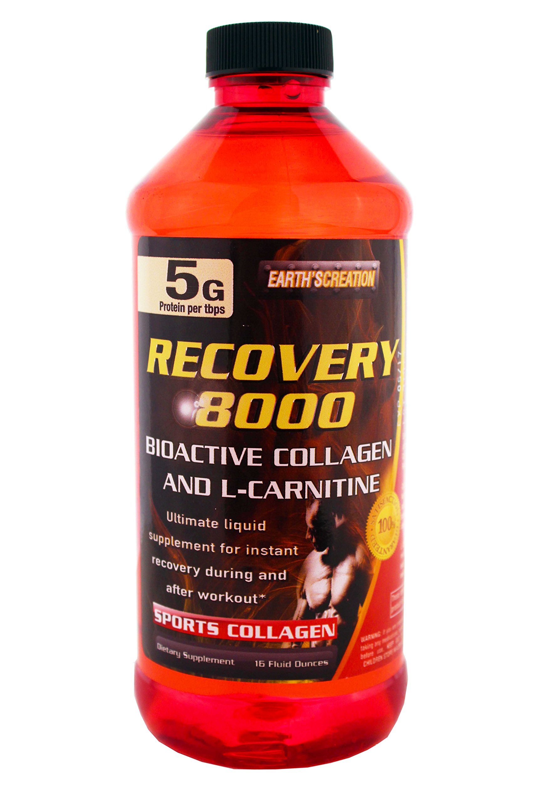 Best Protein Carnitine Recovery 8000 Supplement for Muscle Growth & Post-Workout Recovery – Ideal for Athletes & Fitness Enthusiasts
