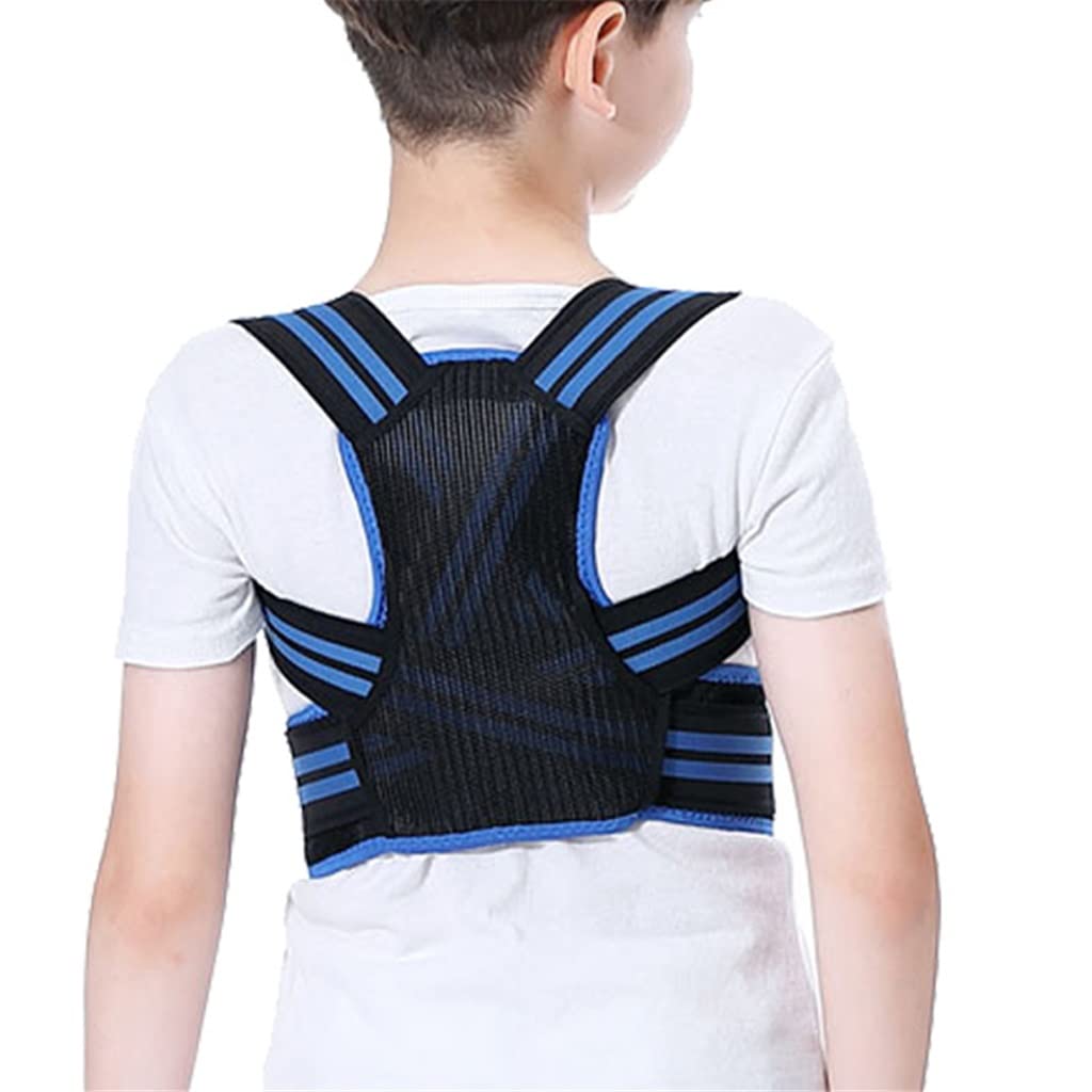 Lavender Adjustable Posture Corrector for Women & Men - Back Support Belt, Orthopedic Corset for Spine Alignment, Lumbar & Shoulder Brace - Blue XL - Perfect for Office Work, Driving & Daily Posture Support