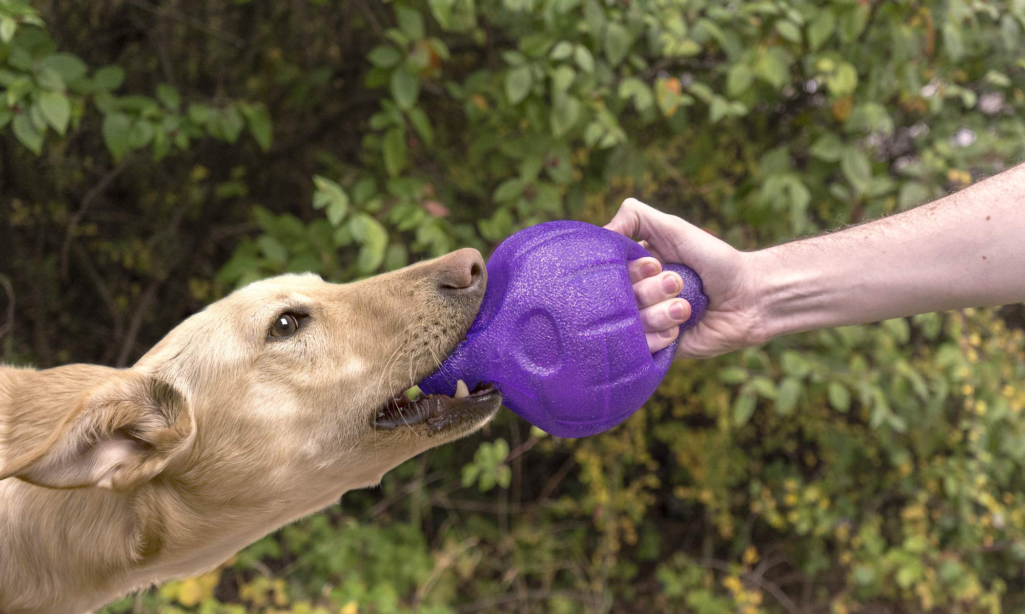 Durable Kronos9 Sphere Interactive Dog Toy for Chewing & Fetch - Perfect for Indoor & Outdoor Playtime