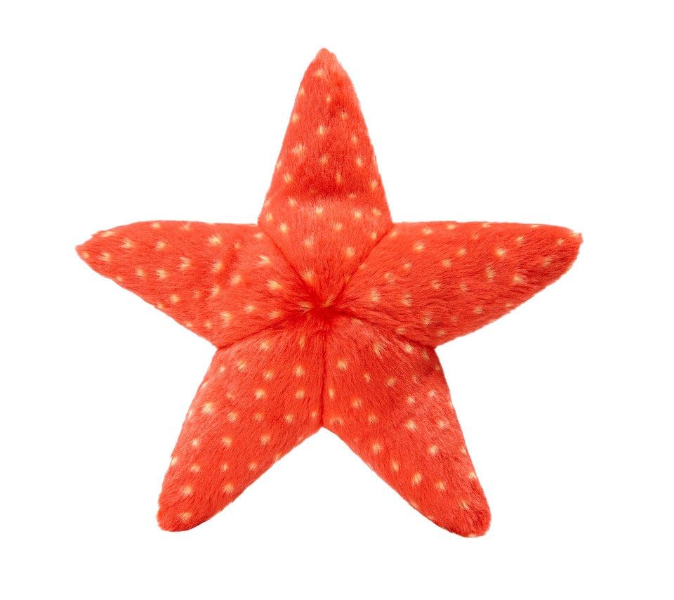 Fluff and Tuff Ziggy Starfish Dog Toy - Durable Chew Toy for Small & Large Dogs - Interactive Play & Fetch Toy for Beach & Outdoor Adventures