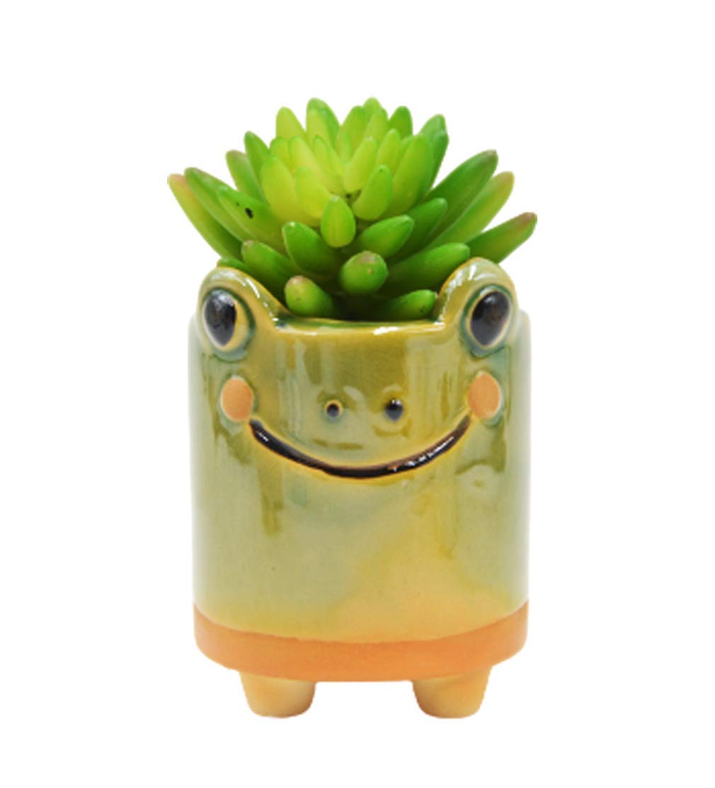 Ceramic Frog Pencil Holder - Cute Desk Organizer for Office & School Supplies, Decorative Succulent Planter Pot - Perfect Gift for Women, Mom, Birthday | Great for Home Office Decor, Teacher Appreciation & Desk Accessories