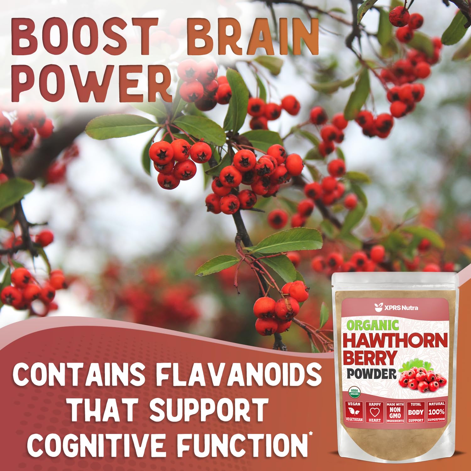 Organic Hawthorn Berry Powder - USDA Certified Premium Hawthorne Berry Supplement for Cardiovascular & Heart Health - Vegan, Non-GMO, Gluten-Free (4oz) - Supports Circulation & Blood Pressure for Active Lifestyles