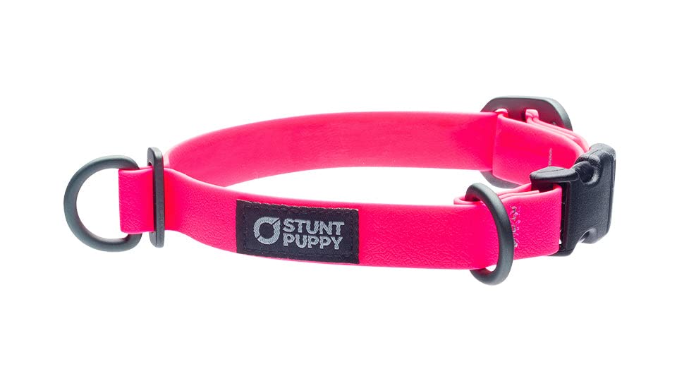 Pink Small Dry Dog Collar - Waterproof & Comfortable Pet Collar for Small Dogs - Perfect for Bathing, Swimming & Outdoor Adventures
