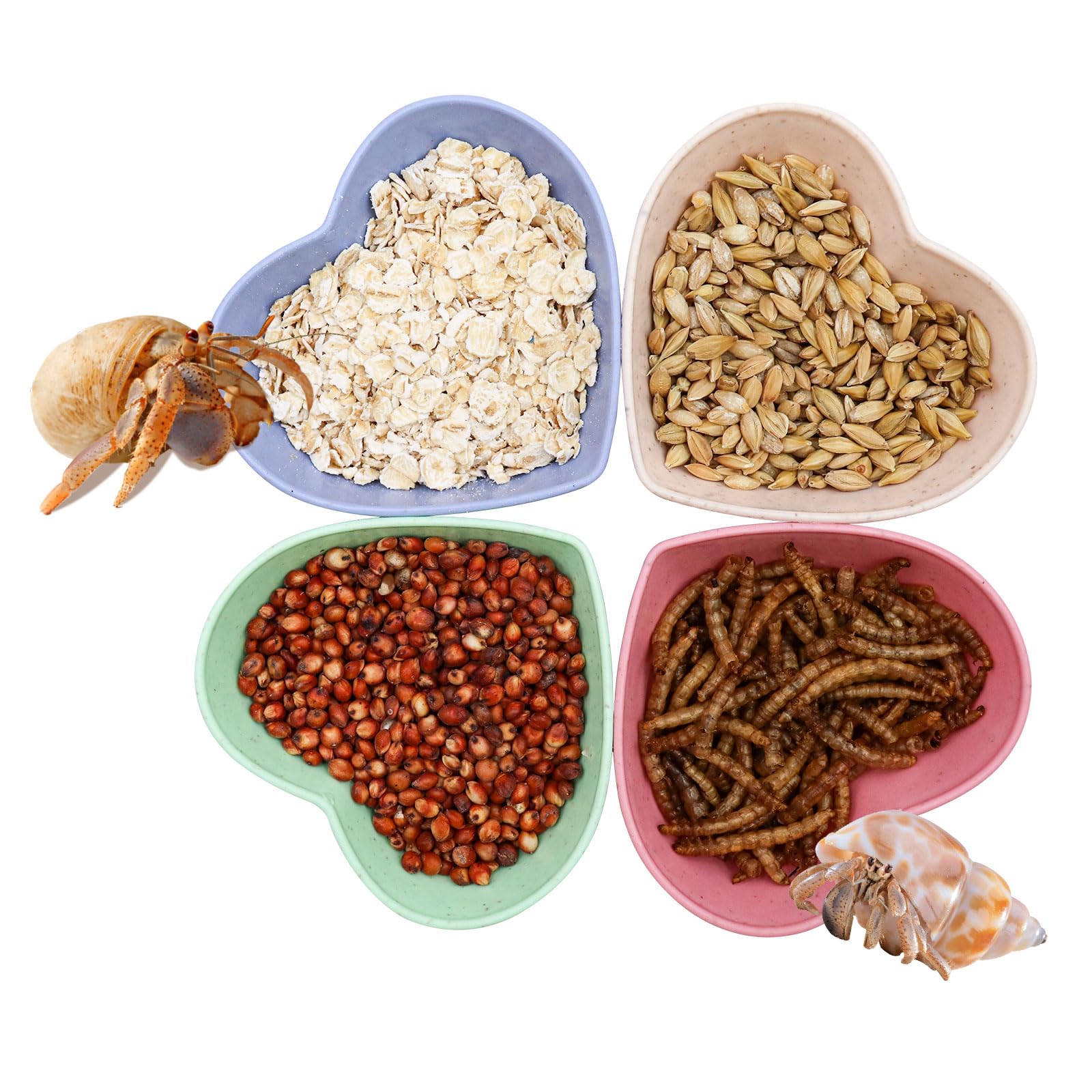 4 Pack Hermit Crab Plastic Food & Water Dishes - Mini Feeding Bowl Kit for Hermit Crabs, Tarantulas, Snails - Perfect for Reptile Terrariums and Small Pet Habitats