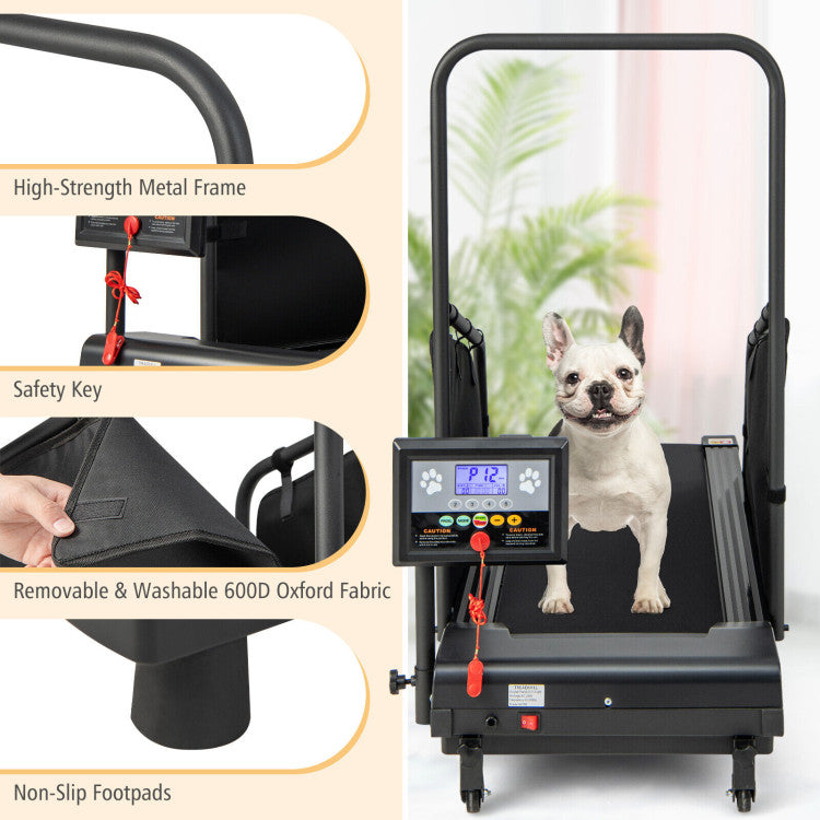 Costway Pet Treadmill for Dogs & Cats - Indoor Exercise Machine with Remote Control - Perfect for Small Pets' Daily Workout & Weight Loss at Home