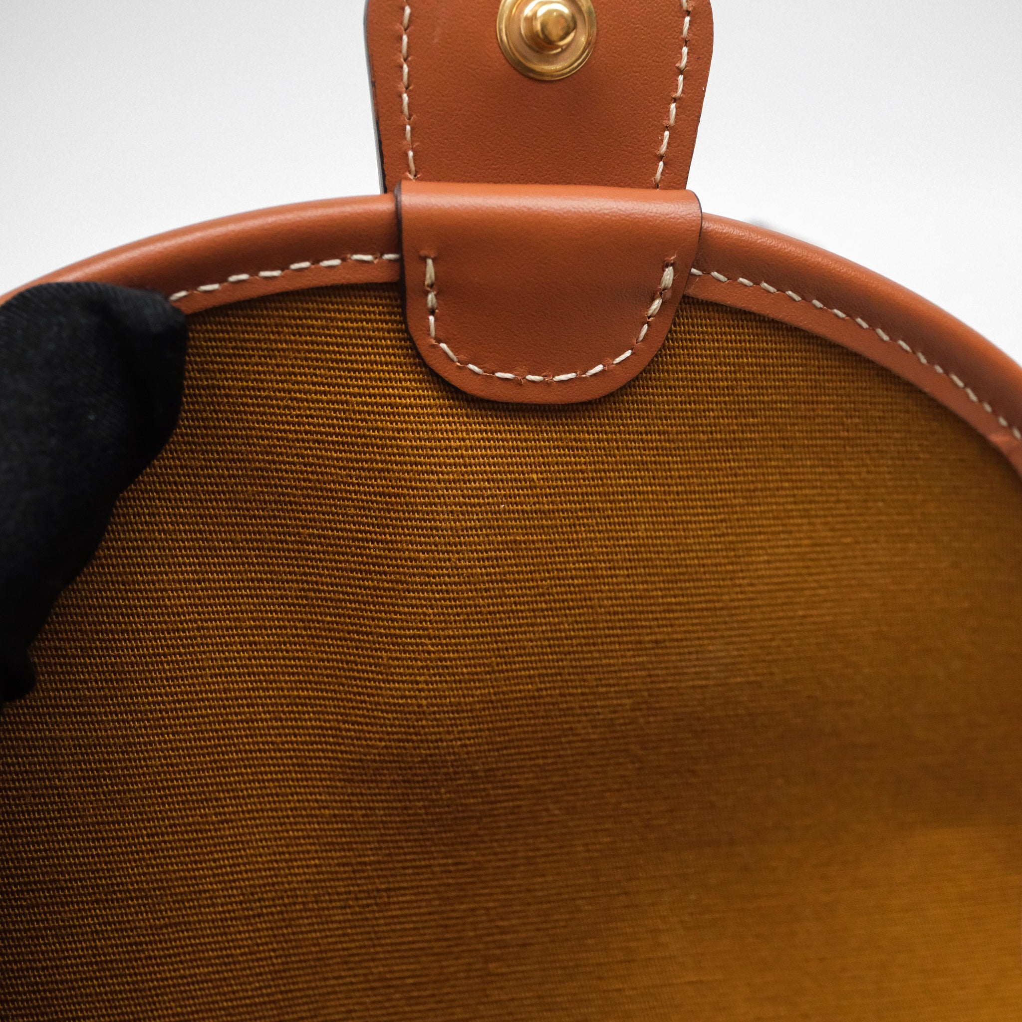 Celine Mini Besace Triomphe Crossbody Bag in Canvas & Calfskin Leather - Tan Color for Women | Perfect for Everyday Use, Work & Travel