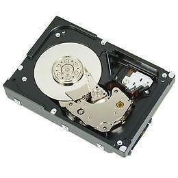 Dell 300GB 3.5