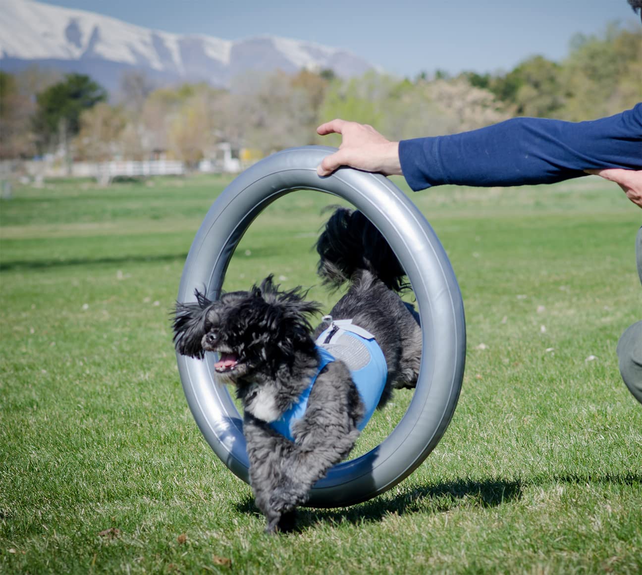 FitPaws® Circular Product Holder for FitPaws® TRAX™ Donut - Durable Dog Agility Equipment for Canine Fitness Training | Perfect for Home Gyms, Backyard Obstacle Courses & Professional Training Sessions