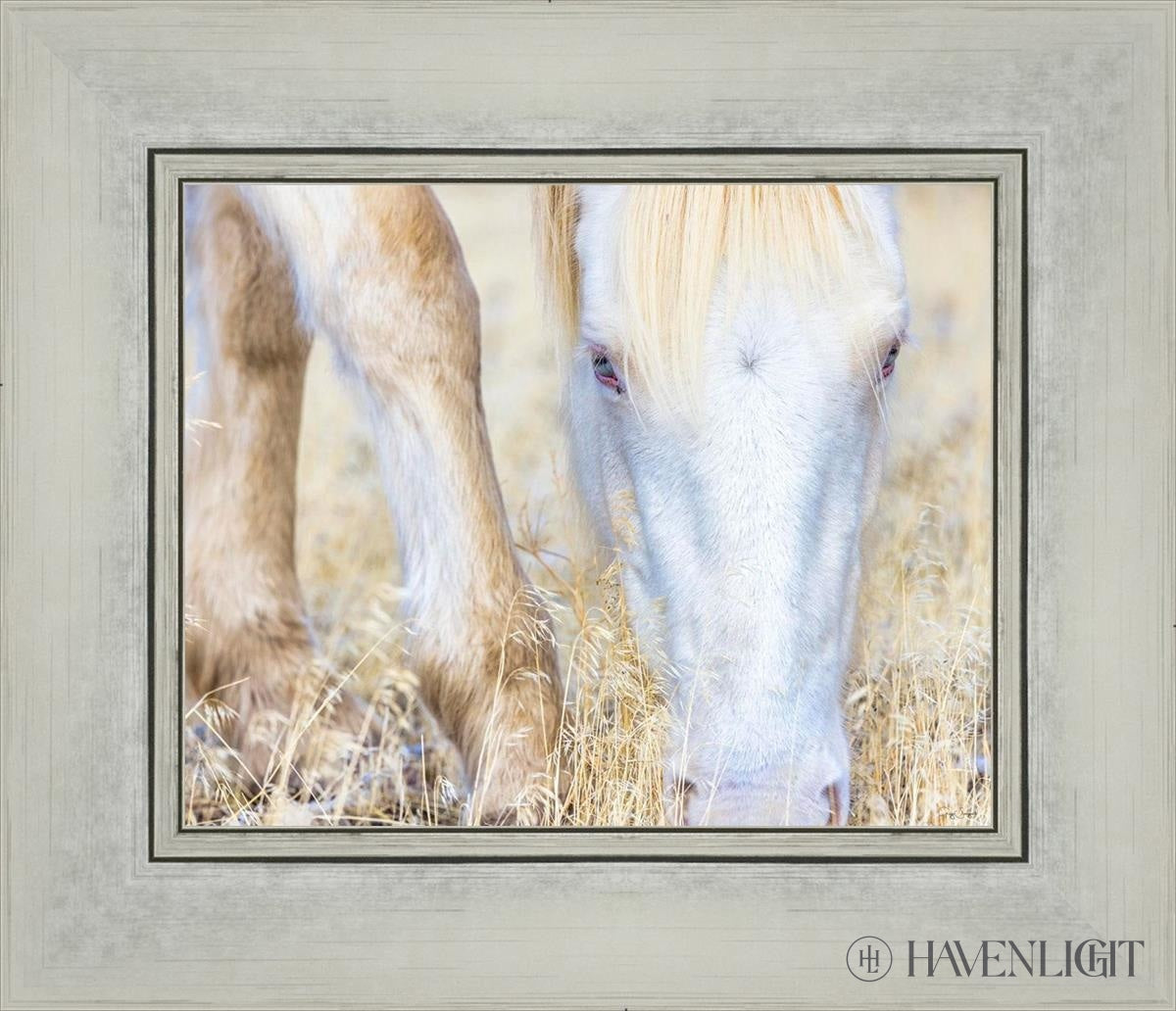 Dry Grass by Greg Sargent - Premium Handcrafted Home Decor for Rustic & Farmhouse Style - Perfect for Wall Art, Shelf Displays & Cozy Living Room Decor