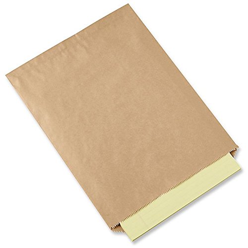 Premium Quality Kraft Paper Bags 10x13 Inches - 100 Pack Flat Merchandise Bags for Bakery, Retail & Gift Packaging | Eco-Friendly & Durable by A1 Bakery Supplies® | Perfect for Cookies, Bread, Pastries & Small Gifts