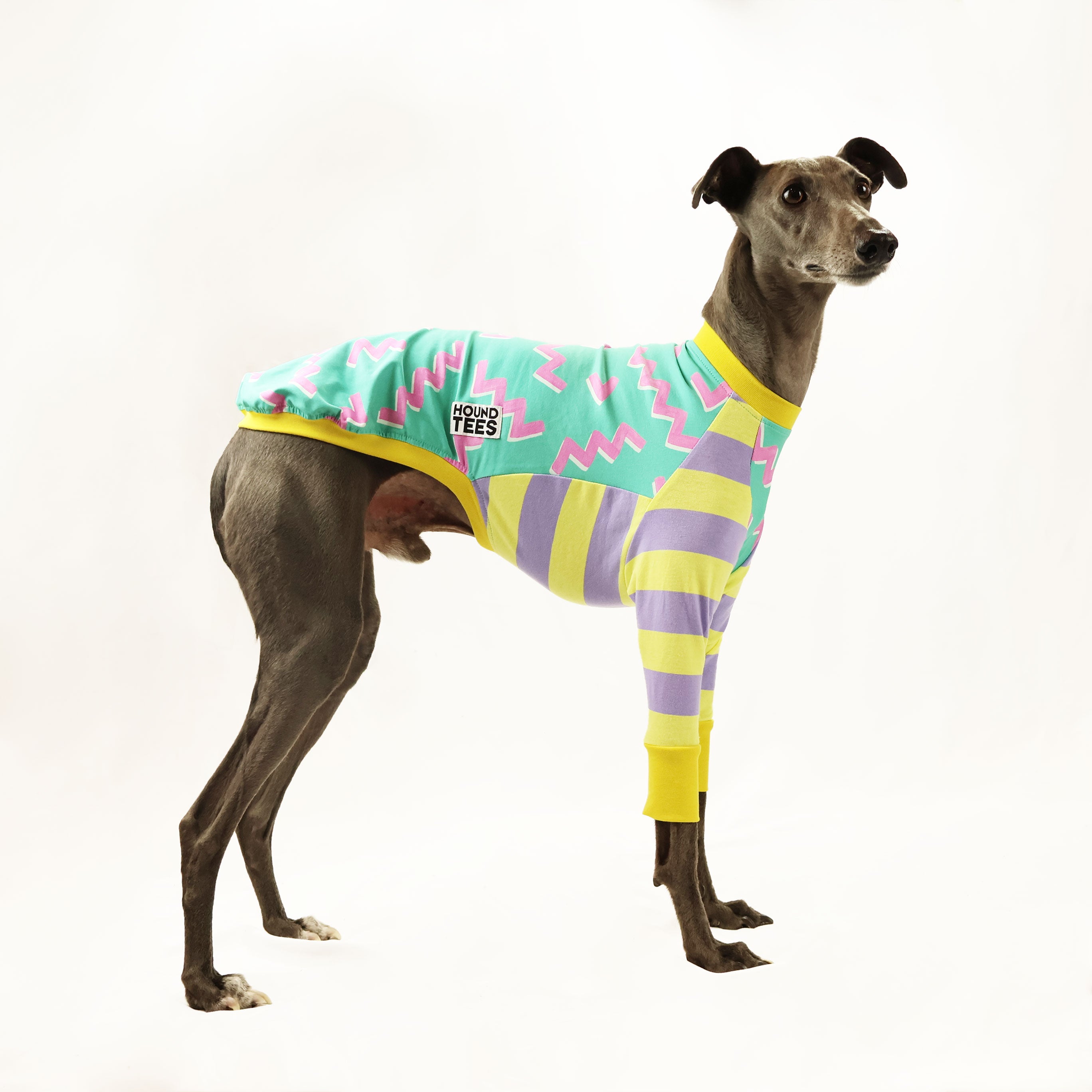 Zag Whippet Long Sleeve Hound T-Shirt - Comfortable Dog Lover Apparel for Casual Wear & Outdoor Adventures