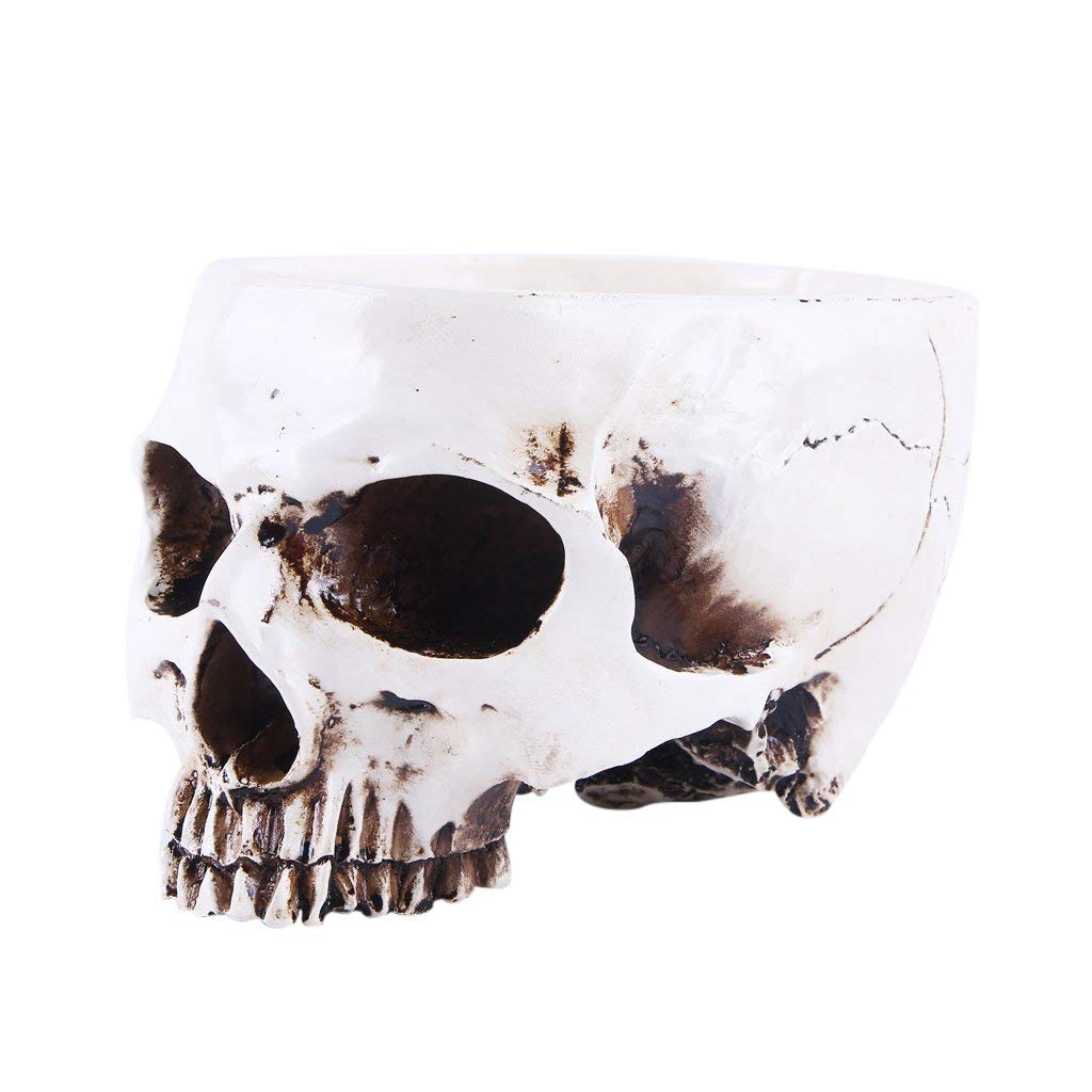 White Human Skull Shaped Flower Pot - Halloween Skeleton Planter Bowl for Tabletop Decor, Succulents & Home Garden