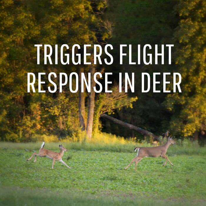 Deer Off Waterproof Deer Repellent Stations - 6 Pack for Outdoor Garden Protection & Deer Control