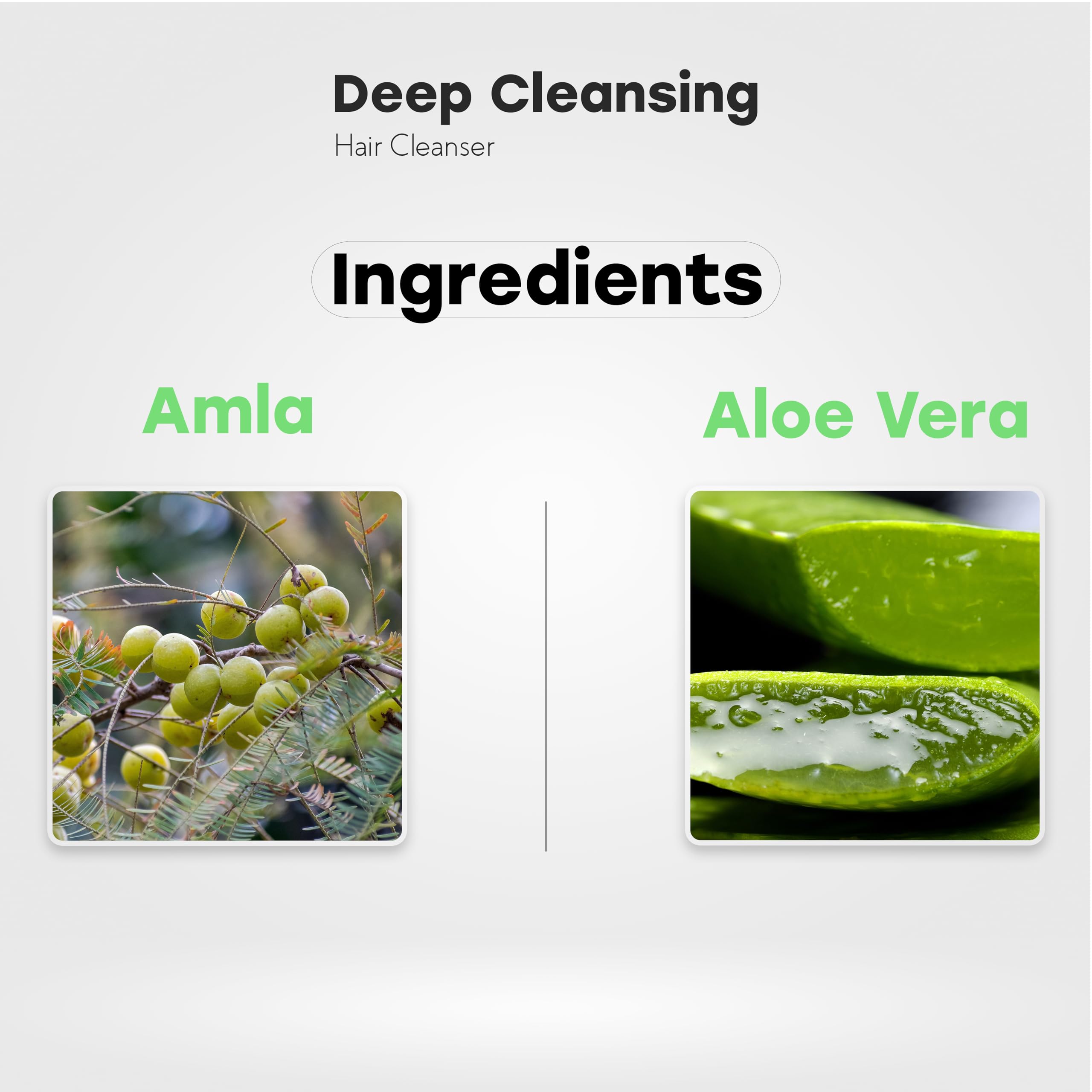 Devicaas Deep Hair Cleanser 500ml for Dry to Normal Hair - Coconut Oil, Shikakai, Aloe Vera & Areetha Extracts | Gentle Cleansing & Nourishment for Healthy Hair | Perfect for Daily Use & Scalp Care