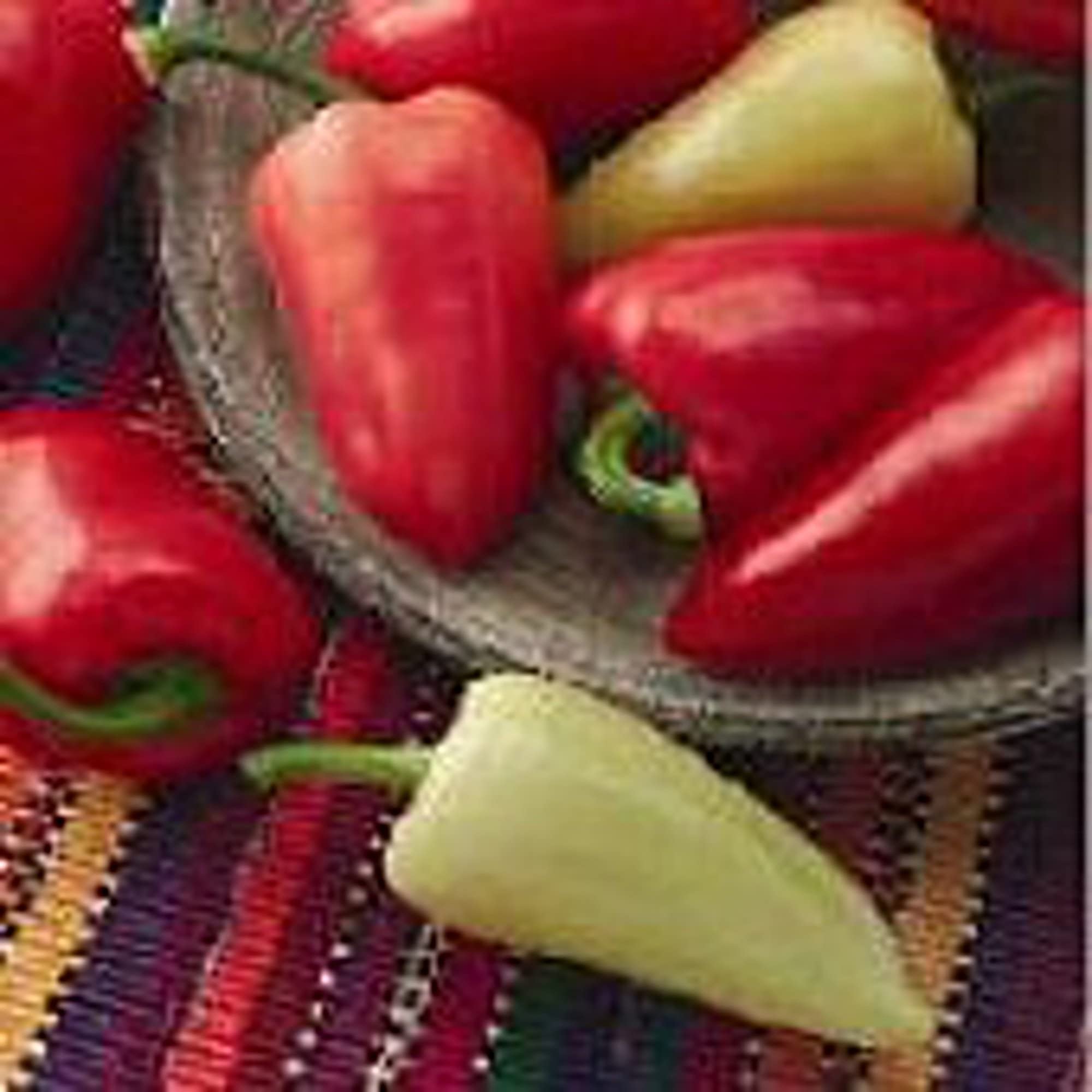 Organic Mariachi Hot Pepper Seeds (20+ Seeds) | Non-GMO Heirloom Vegetable Seeds for Planting | Home Garden, Greenhouse, or Container Growing | Perfect for Salsa, Cooking, and Spicy Dishes