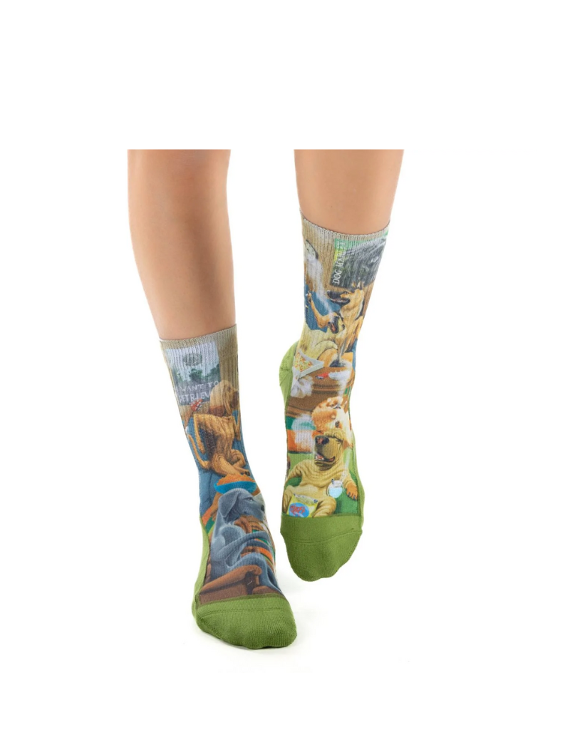Dog Socks for Active Pets - Non-Slip, Breathable & Durable Dog Booties for Walking, Running & Outdoor Adventures