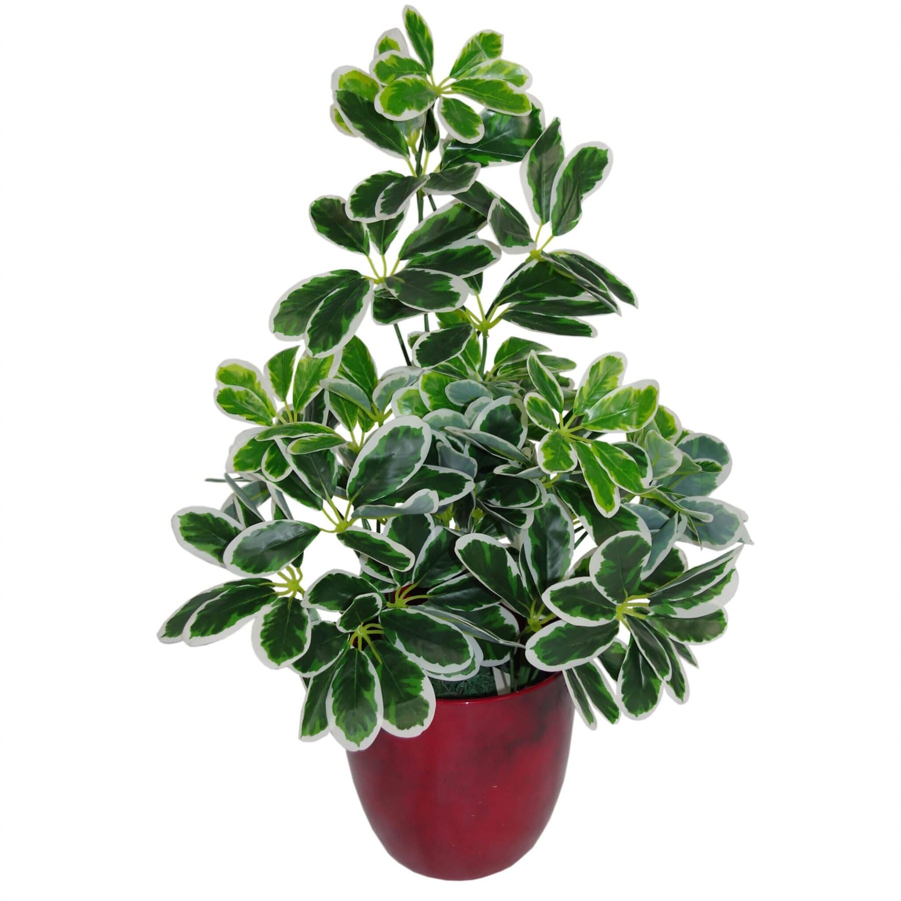 Artificial Arboricola Evergreen Plant - 55cm Tall Lifelike Fake Tree for Home Office Decor, Indoor Greenery & Wedding Centerpieces