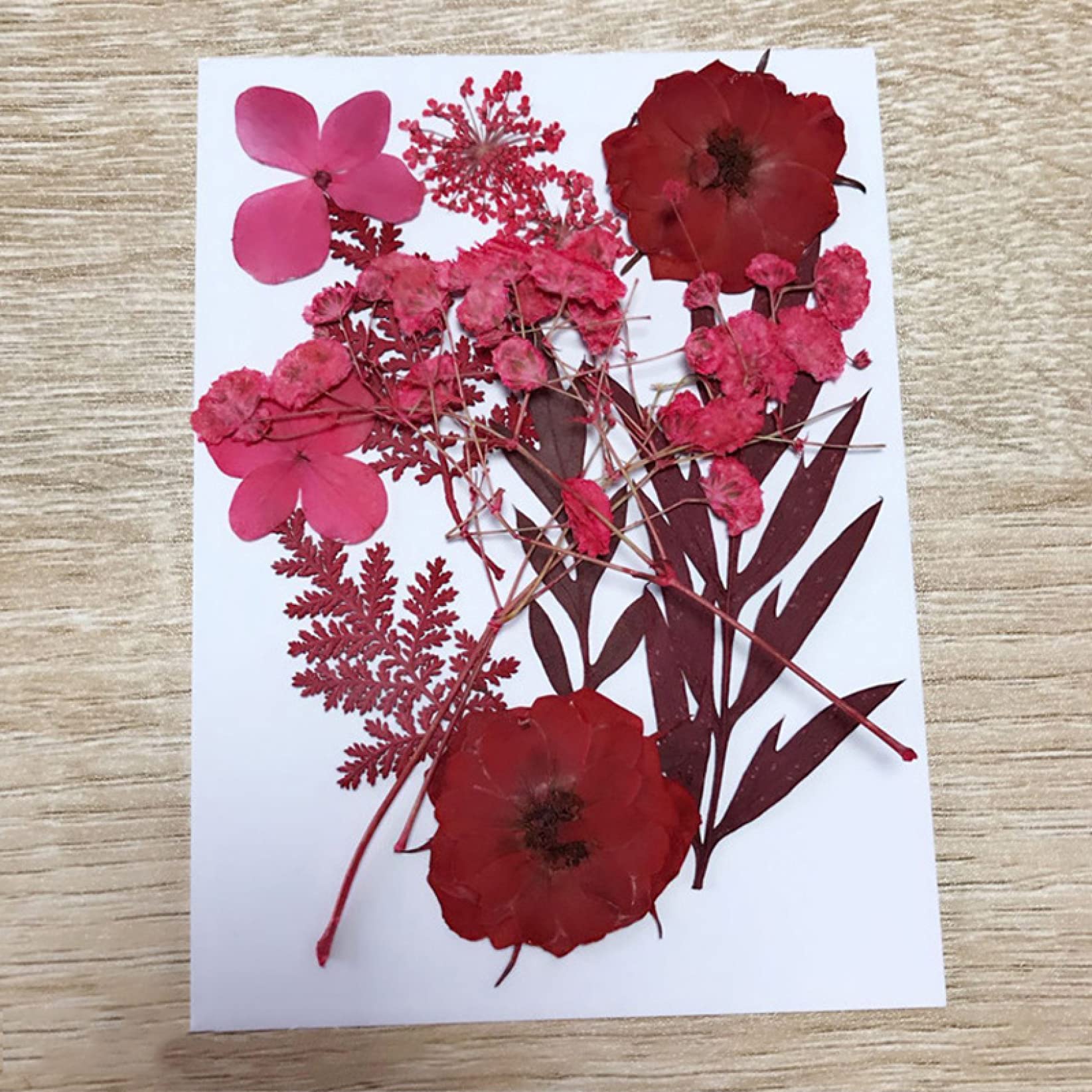 Pressed Flower Mixed Dried Flowers for Aromatherapy Candles, Greeting Cards, Epoxy Resin Crafts & DIY Jewelry Making - Perfect for Home Decor, Wedding Favors, and Handmade Gifts