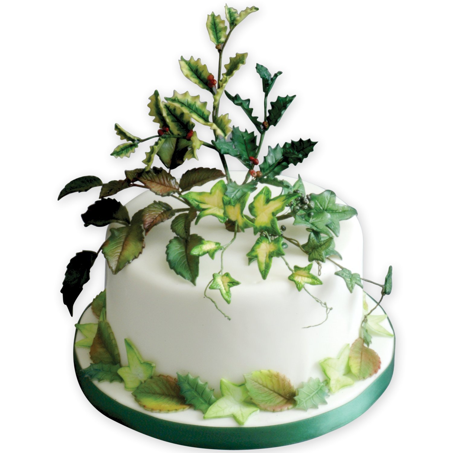 PME Veined Rose Leaf Plunger Cutter - Extra Large Fondant & Gum Paste Tool for Cake Decorating, Wedding Cakes, Cupcakes & Sugar Flowers