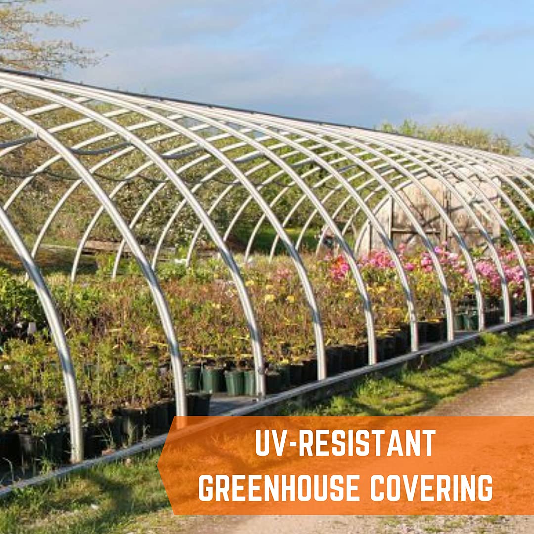 Premium Black & White Greenhouse Plastic Sheeting - 6 mil Thickness (12' x 75') - 90% Reflective Cover for Farming, Gardening & Agriculture - Durable UV Protection Film for Plant Growth & Temperature Control - Ideal for Commercial Greenhouses, Backyard Gardens & Hydroponic Systems