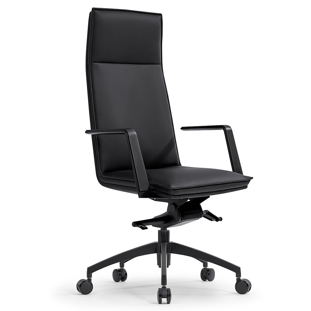 TORIN High Back Office Chair with Lumbar Support - Ergonomic Executive Desk Chair for Home & Office - Black - Perfect for Long Hours of Sitting & Work Comfort