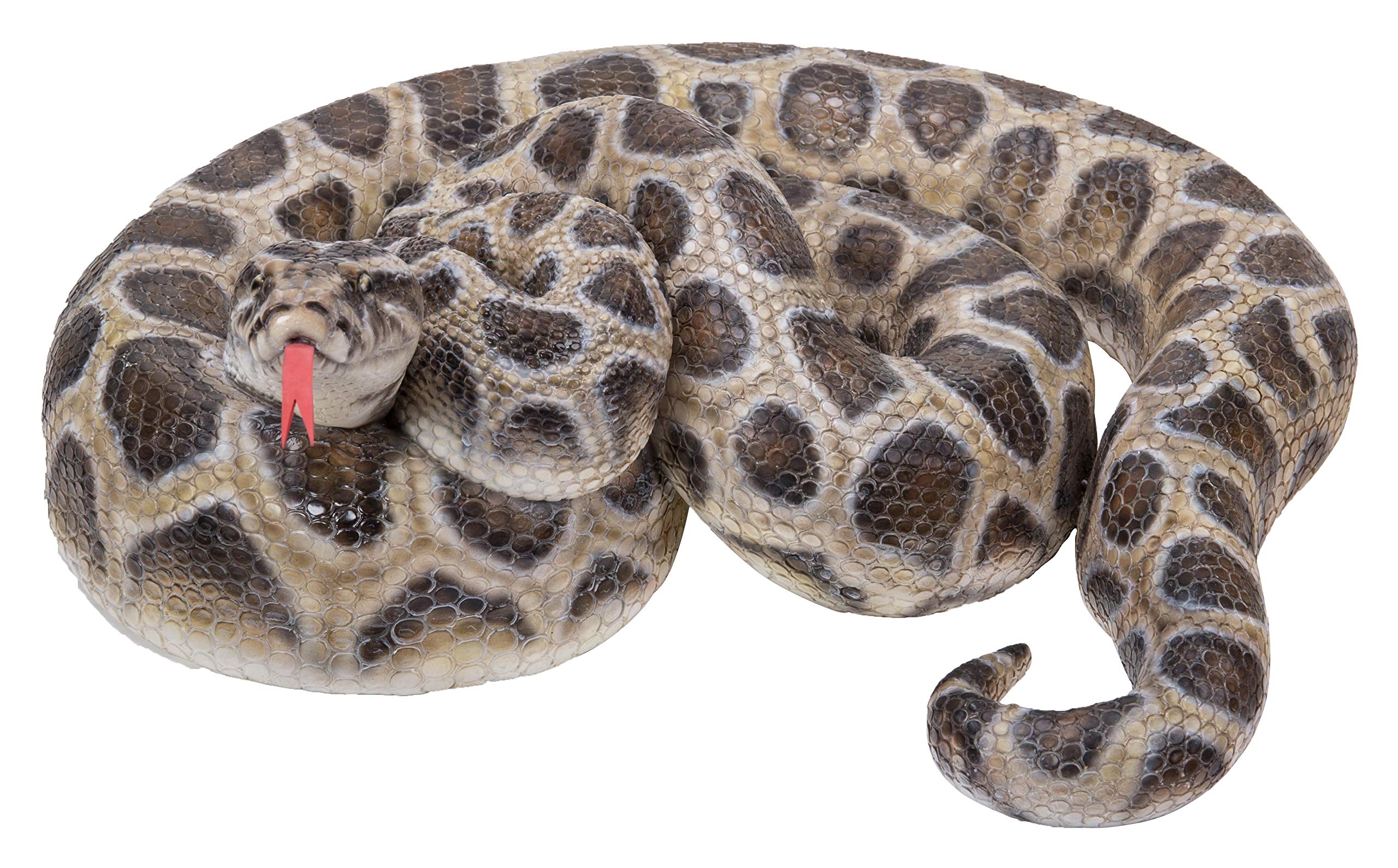 Hi-Line Gift 87680-A Realistic Curled Up Python Snake Statue - Home Decor, Office Desk Ornament, Garden Sculpture, Unique Gift for Reptile Lovers