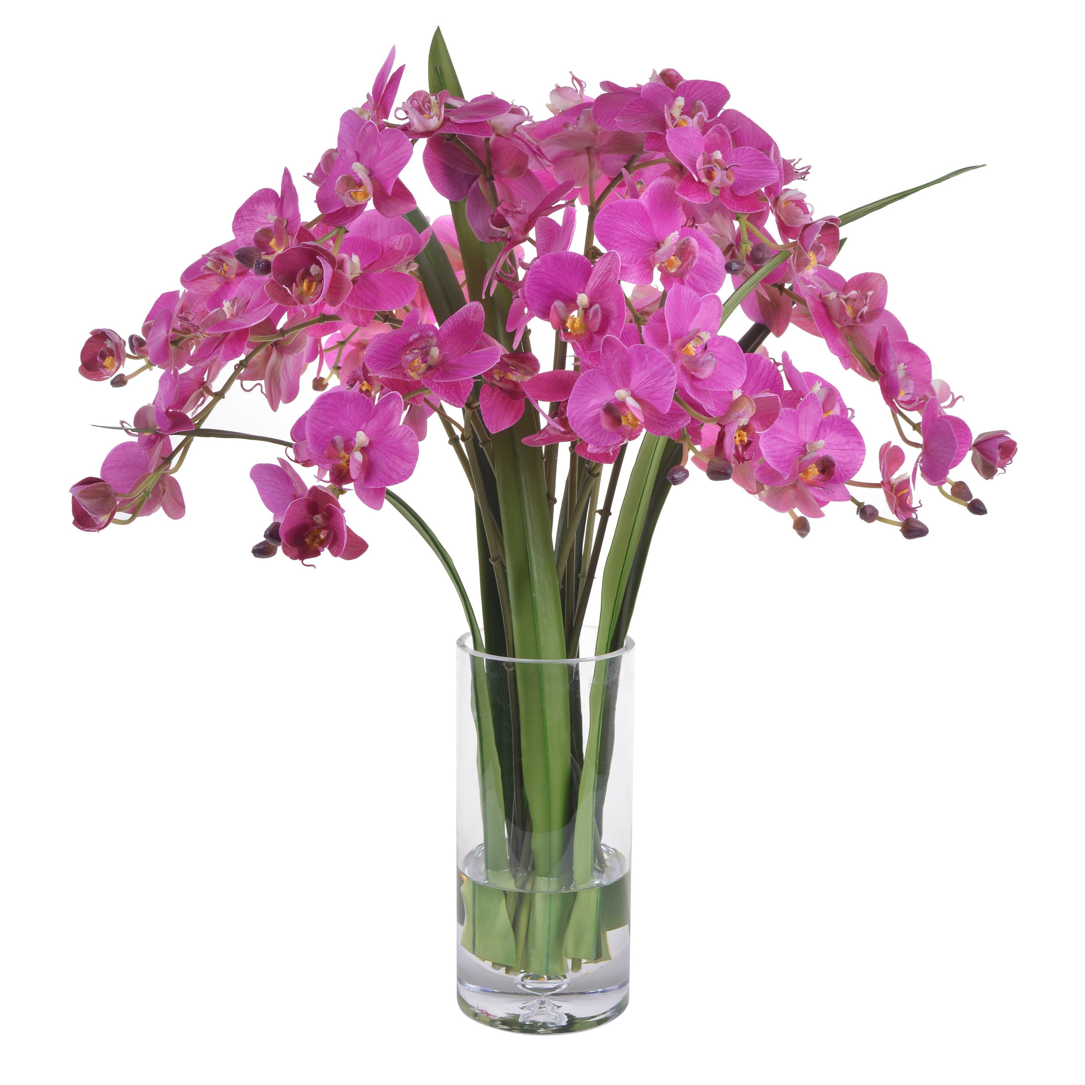 Stunning Phalaenopsis Orchid in Elegant Glass Vase - Perfect for Home Decor, Wedding Centerpieces & Office Gift
