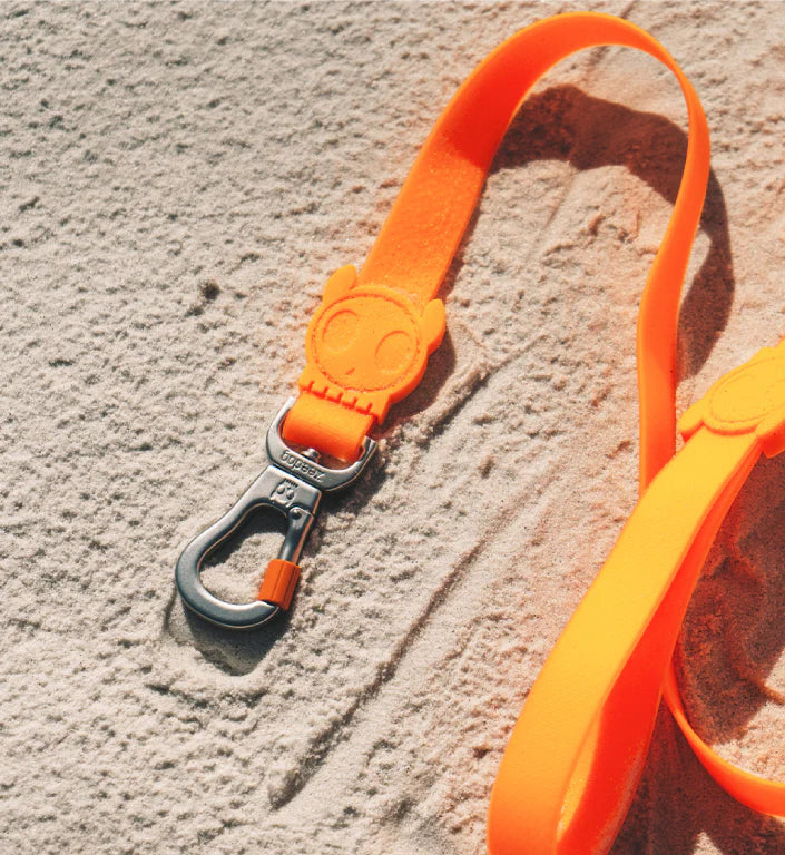 Neopro Amazonia Dog Collar by Zee.Dog - Durable & Stylish Pet Collar for Small, Medium & Large Dogs - Perfect for Walking, Training & Outdoor Adventures