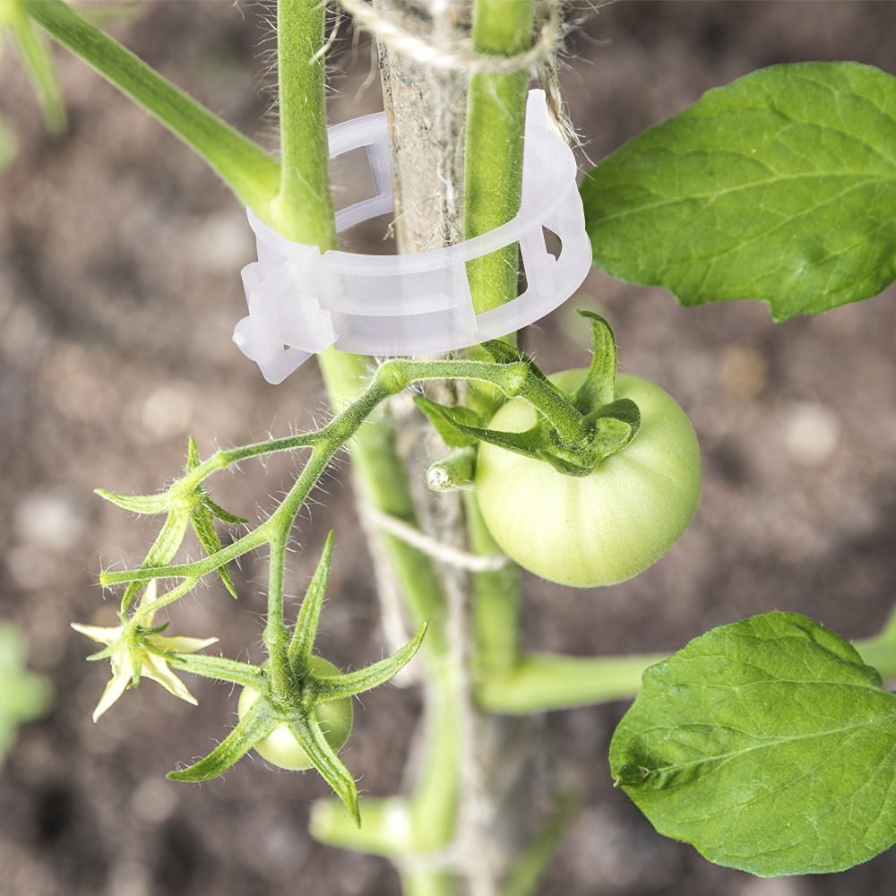 KINGLAKE 200 Pcs Plant Support Garden Clips - Tomato Vine Clips & Trellis Clips for Healthy Vertical Growth of Vine Vegetables, Tomatoes, Cucumbers | Perfect for Home Gardening, Greenhouses & Backyard Farms