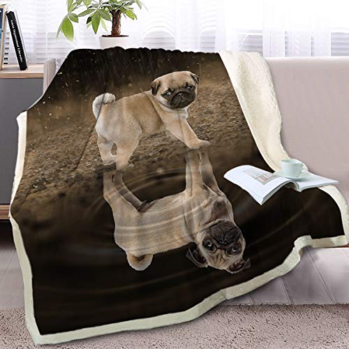 Cute Pug Dog