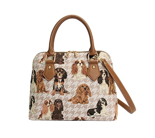 Cavalier King Charles Spaniel Dog