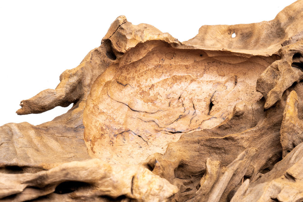 Natural Basin Driftwood for Aquarium Decor - Unique Wood Pieces for Fish Tanks, Terrariums & Home Decoration | Perfect for Aquatic Landscaping, Reptile Habitats & Zen Gardens