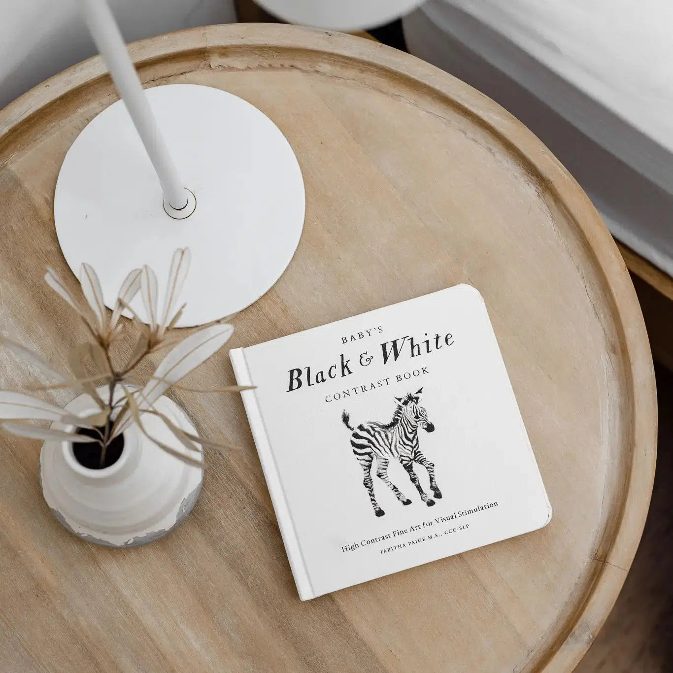 Paige Tate & Co. Baby's Black and White High Contrast Book - Newborn Visual Stimulation & Early Learning Development for 0-12 Months Infants