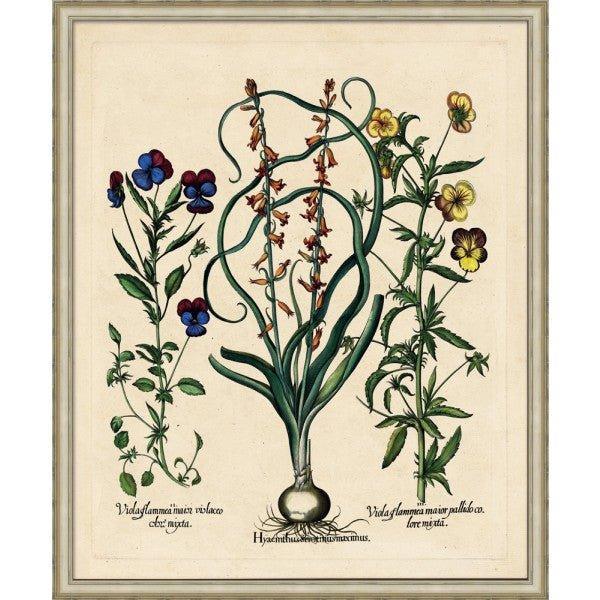 Bessler's Hyacinths Framed Giclee Wall Art Print - Elegant Floral Home Decor for Living Room, Bedroom & Office