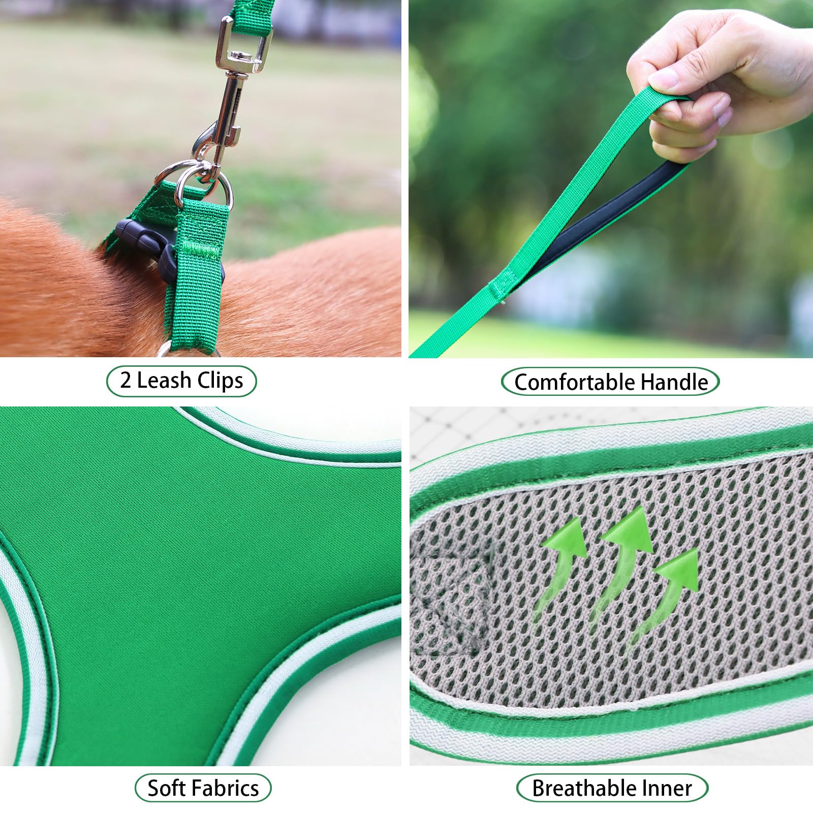 KCUCOP Step-in Dog Harness for Small & Medium Dogs - No-Choke Design, Soft Mesh Padding, Comfortable Walking & Training - Includes Leash (Green, XS) - Perfect for Daily Walks, Hiking & Outdoor Adventures