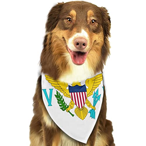 Flag Of The United States Virgin Islands