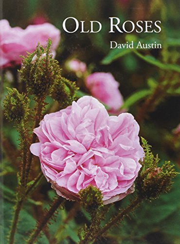 David Austin Old Roses Book - Vintage Rose Gardening Guide & Care Tips | Perfect for Rose Enthusiasts, Gardeners & Landscaping Projects
