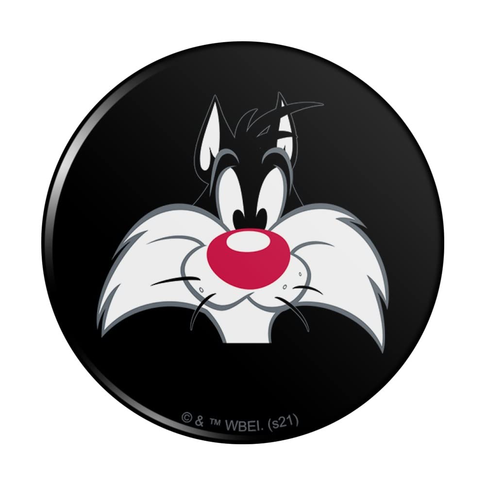 Looney Tunes Sylvester Cartoon Character Refrigerator Magnet Set - Fun Kitchen Decor for Fridge, Locker & Office (6-Pack)