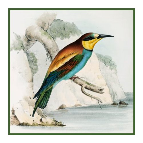 Orenco Originals Bee Eater by Naturalist John Gould Birds Counted Cross Stitch Pattern